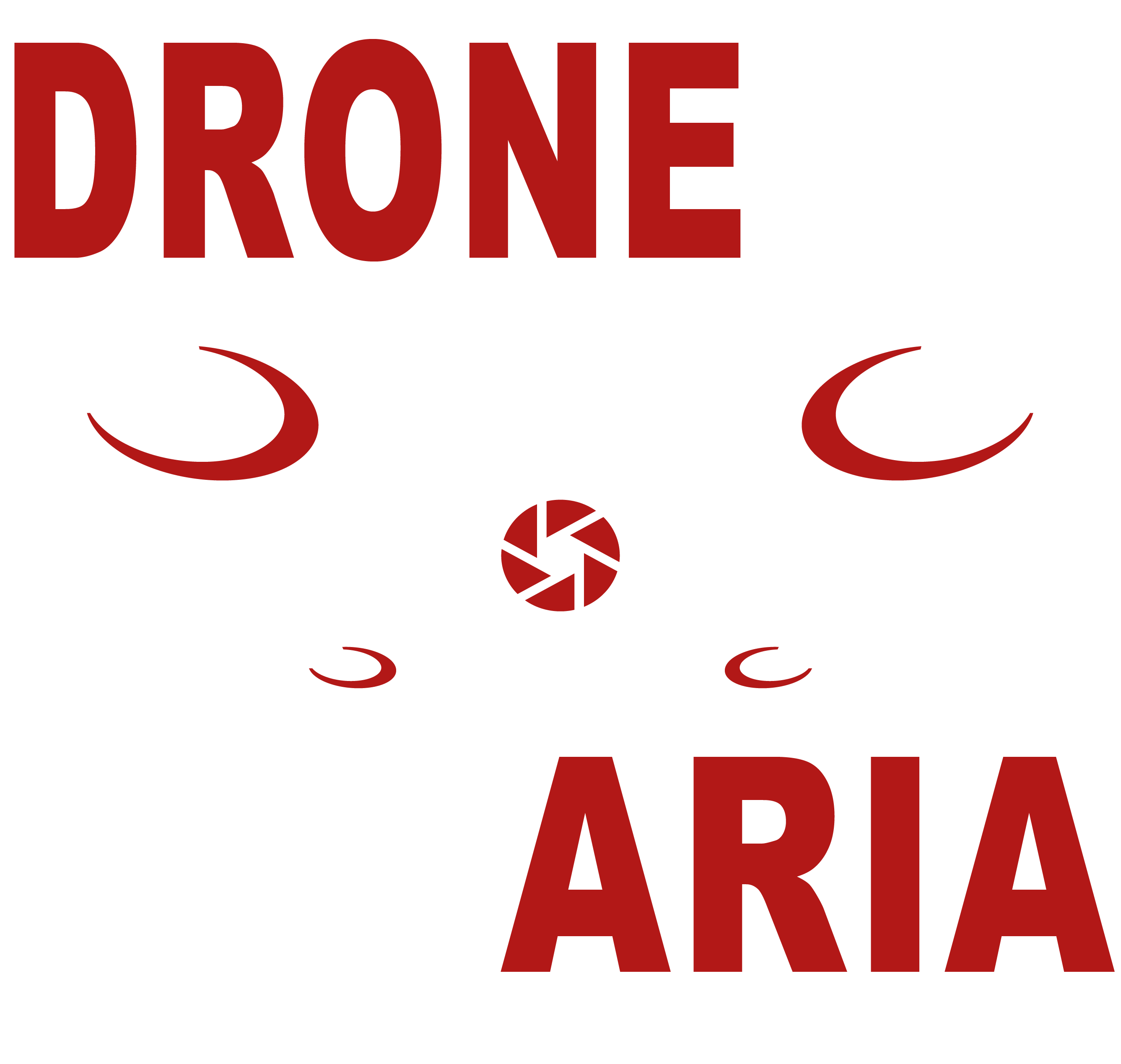 dronepix-bavaria.de
