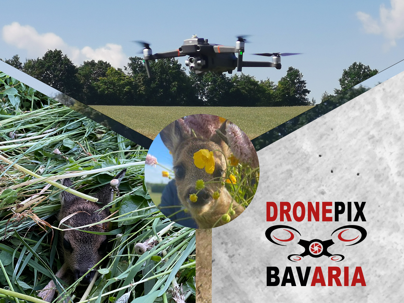 Rehkitzrettung mit Dronepix Bavaria 43